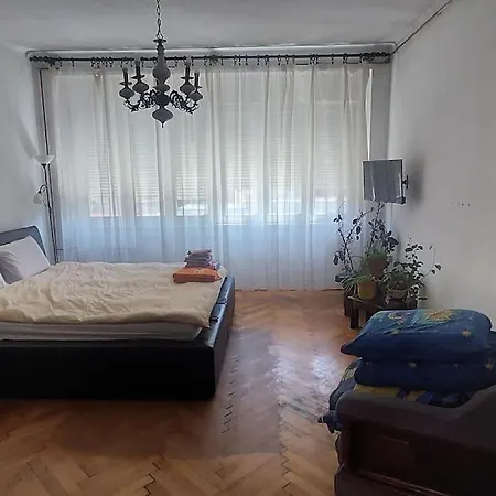 Drvenija Apartment